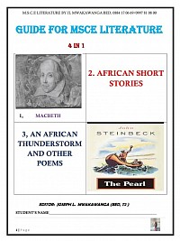 Guide for MSCE English literature