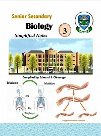 Bio